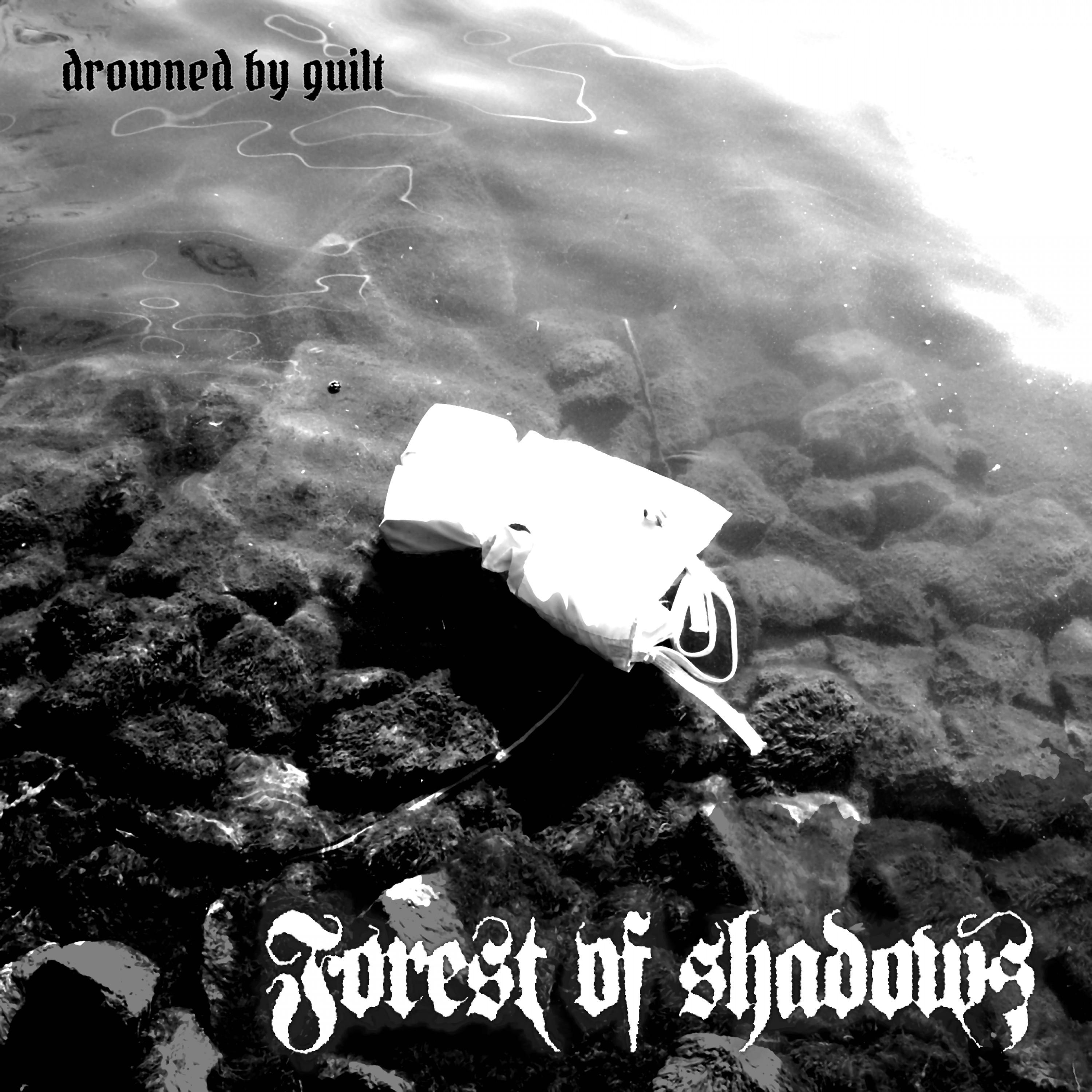 Forest of shadows《Drowned By Guilt》乐队总谱|GTP谱