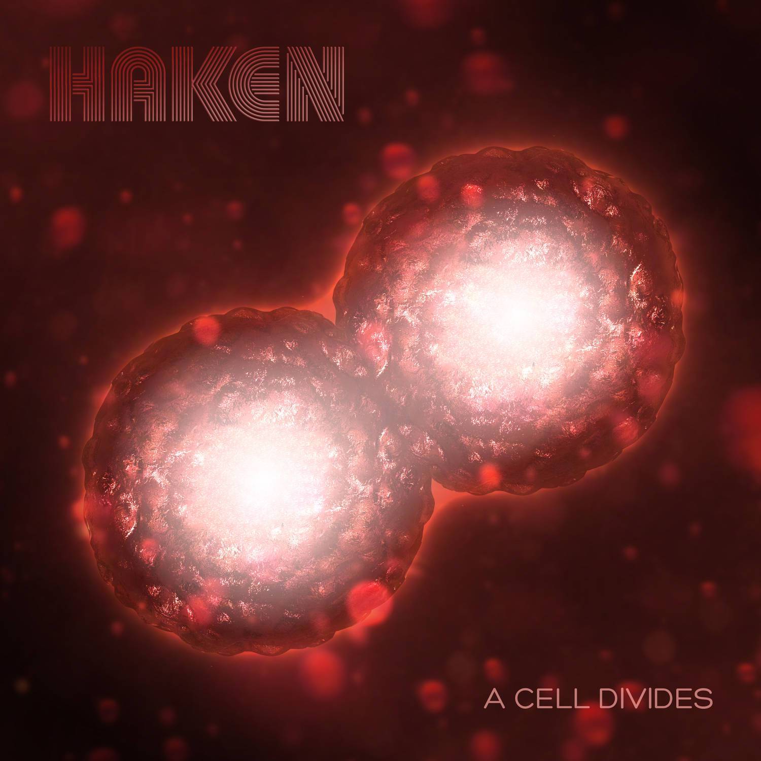Haken《A Cell Divides》乐队总谱|GTP谱