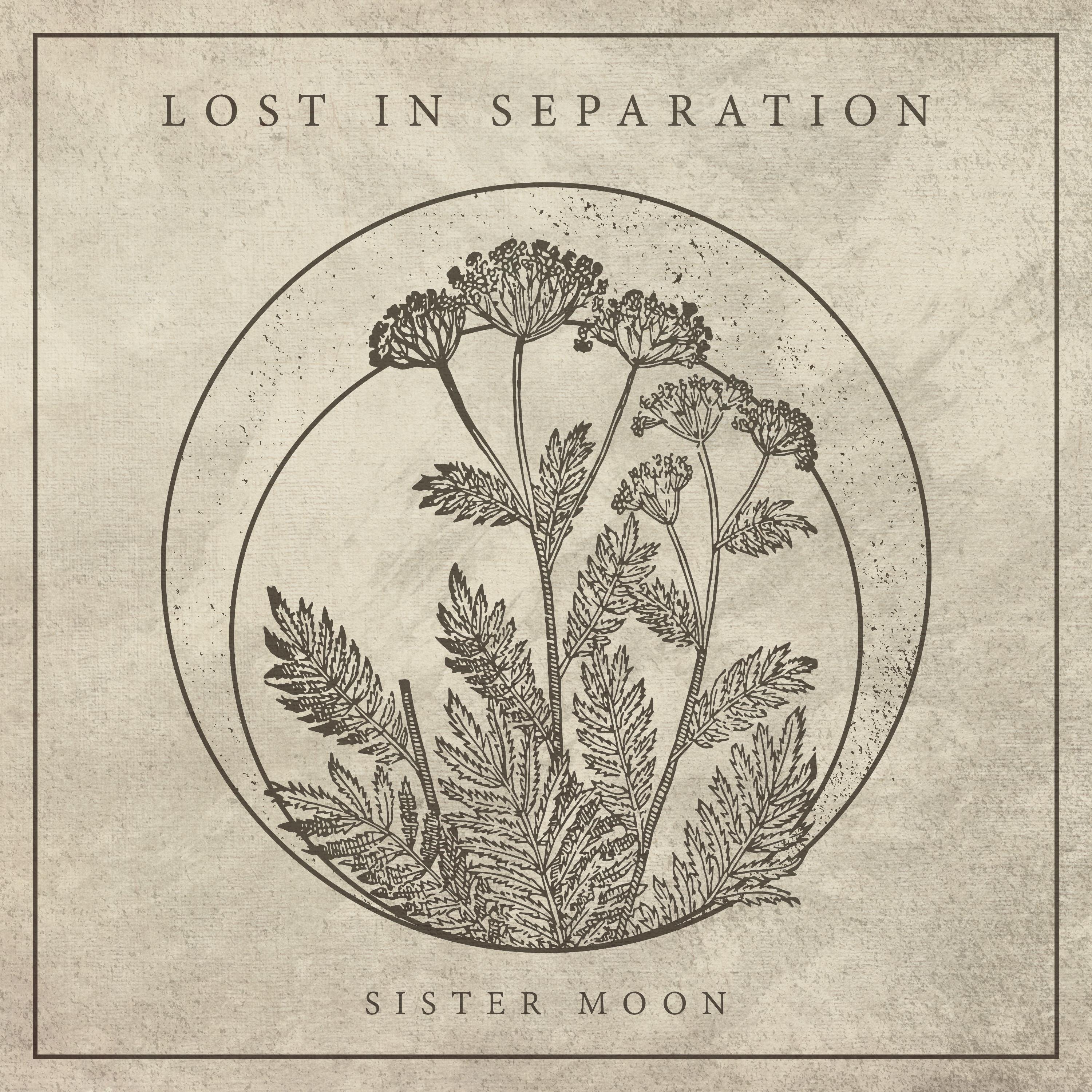 Lost in Separation《Bury Me》乐队总谱|GTP谱