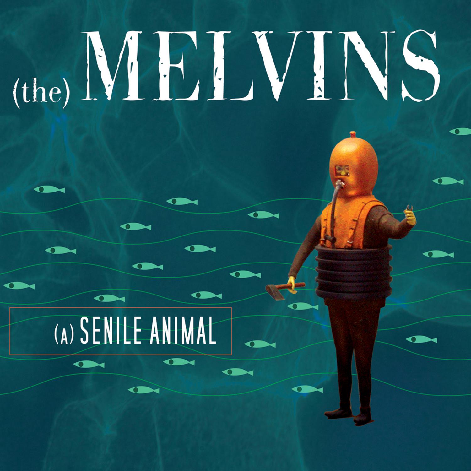 Melvins《The Hawk》乐队总谱|GTP谱