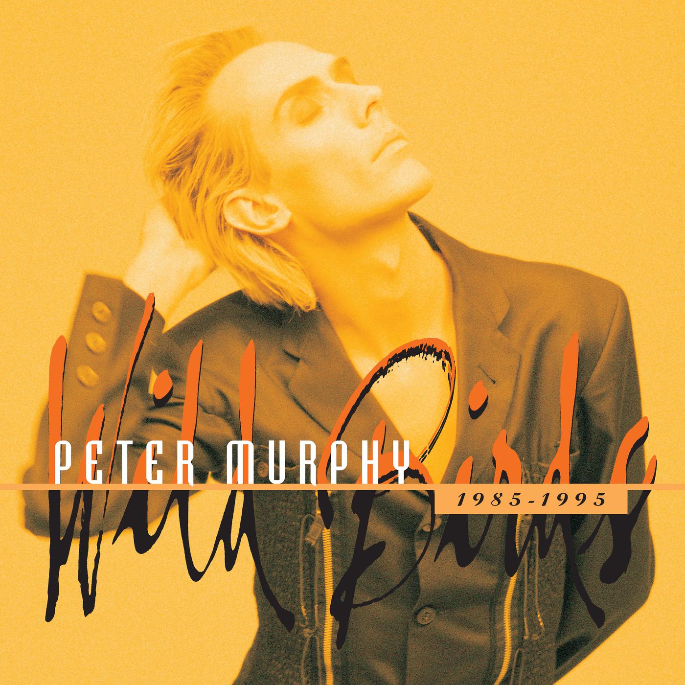 Peter Murphy《Cuts You Up》乐队总谱|GTP谱