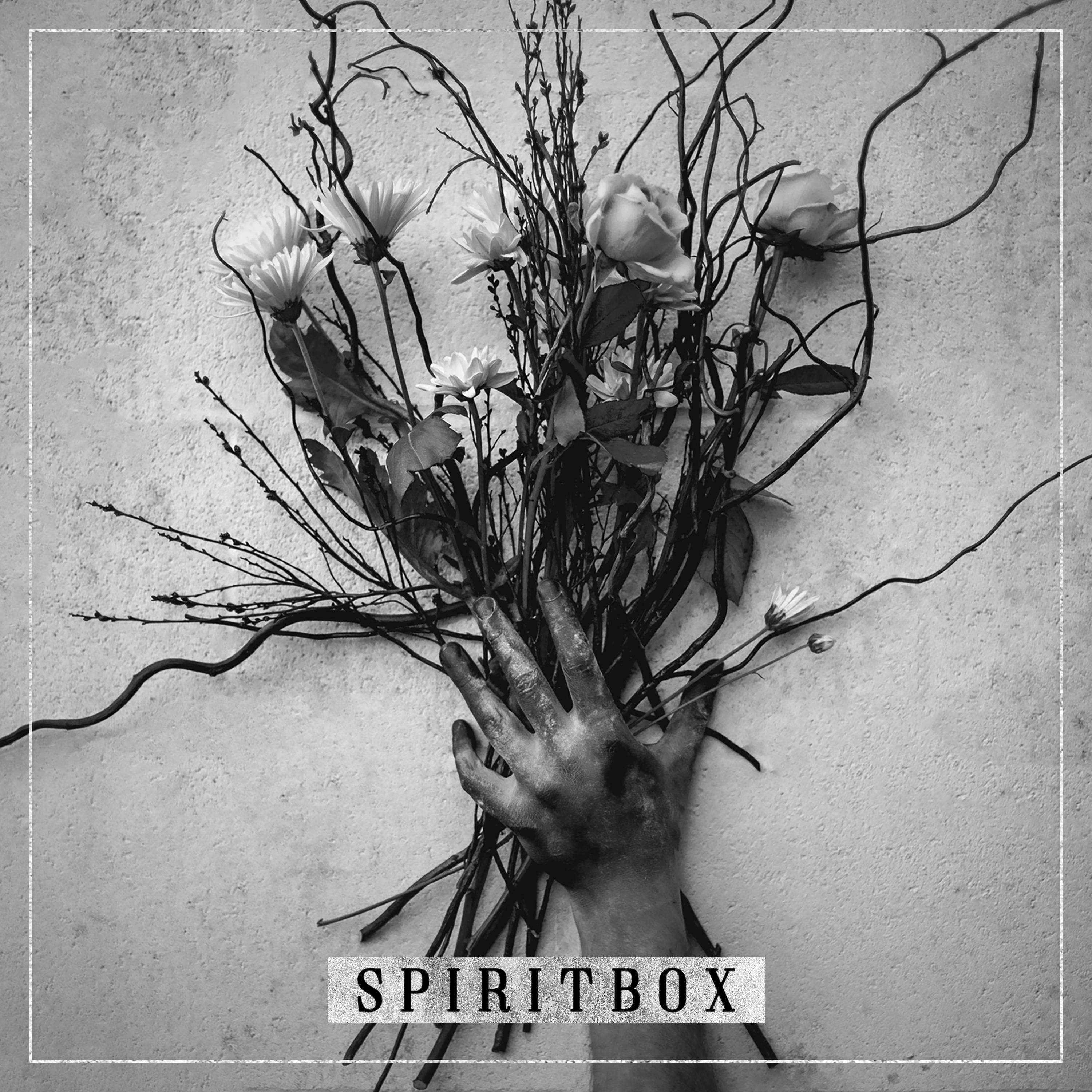 Spiritbox《The Mara Effect Pt3》乐队总谱|GTP谱