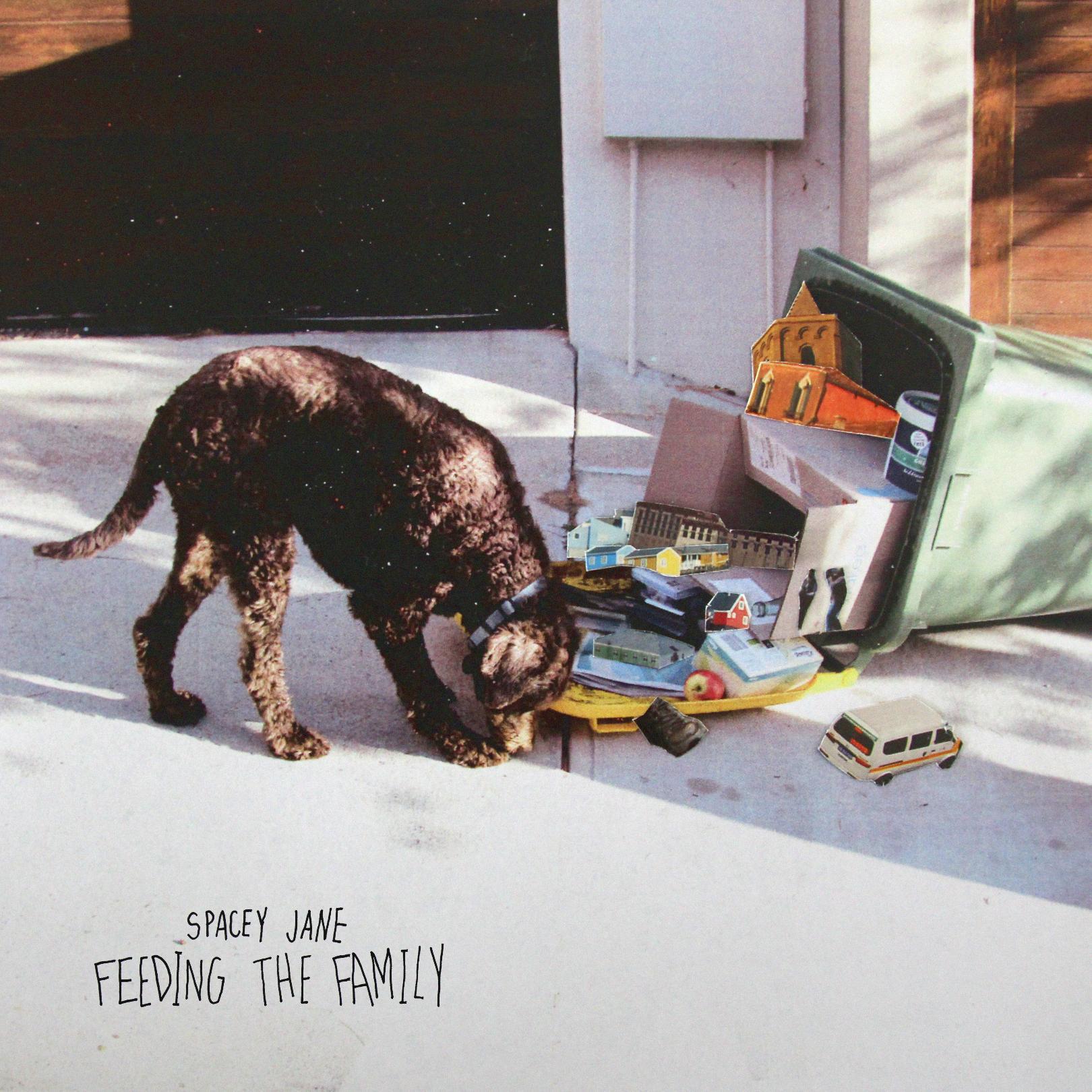 Spacey Jane《Feeding The Family》乐队总谱|GTP谱