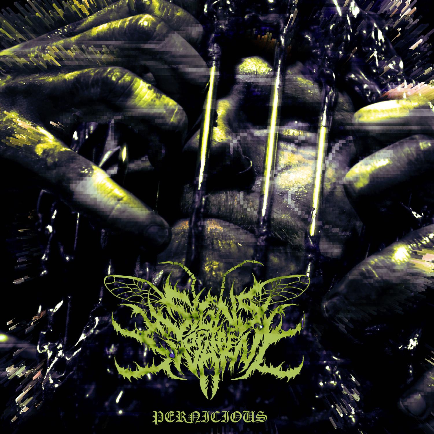 Signs Of The Swarm《Pernicious》乐队总谱|GTP谱