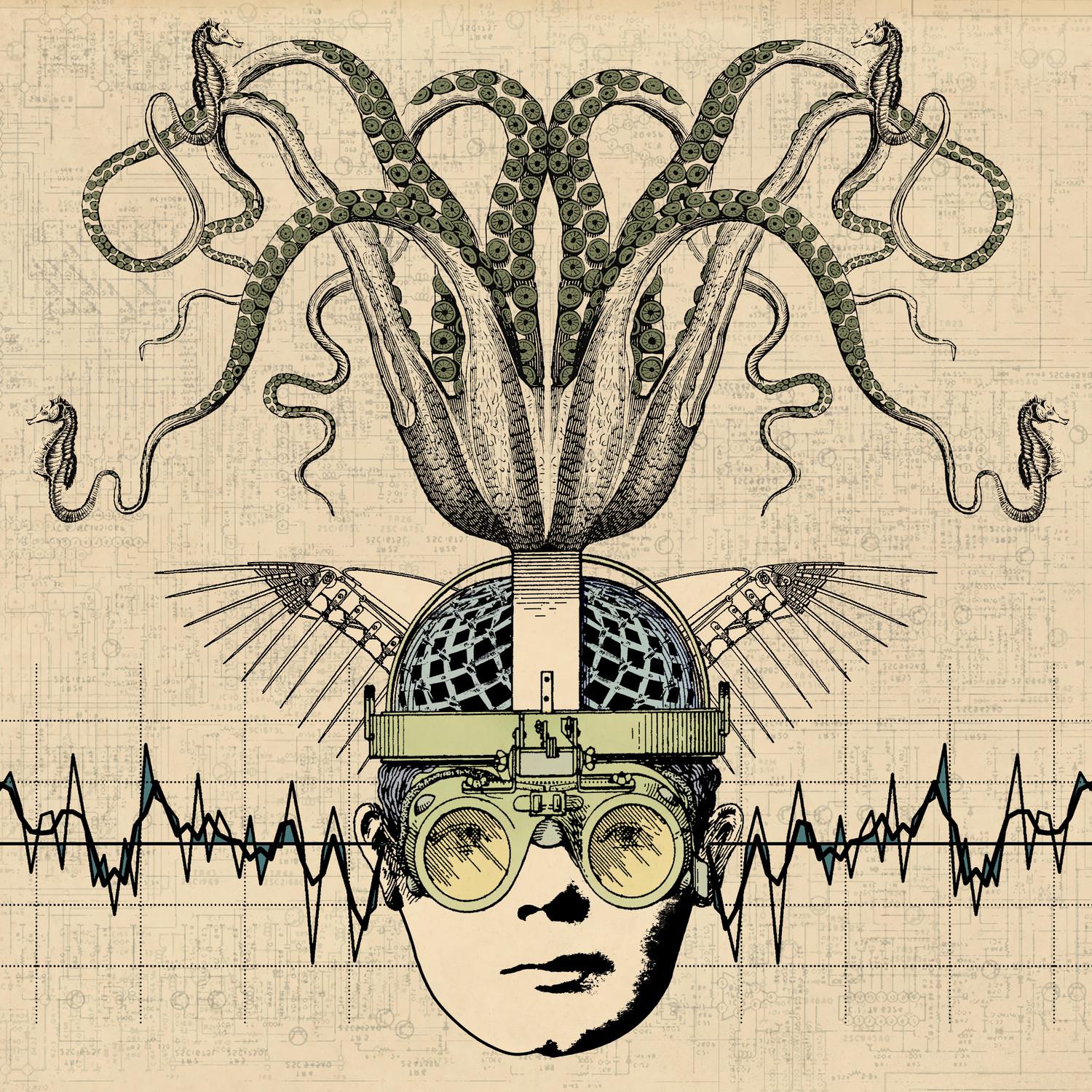 Thank You Scientist《A Wolf In Cheap Clothing》乐队总谱|GTP谱