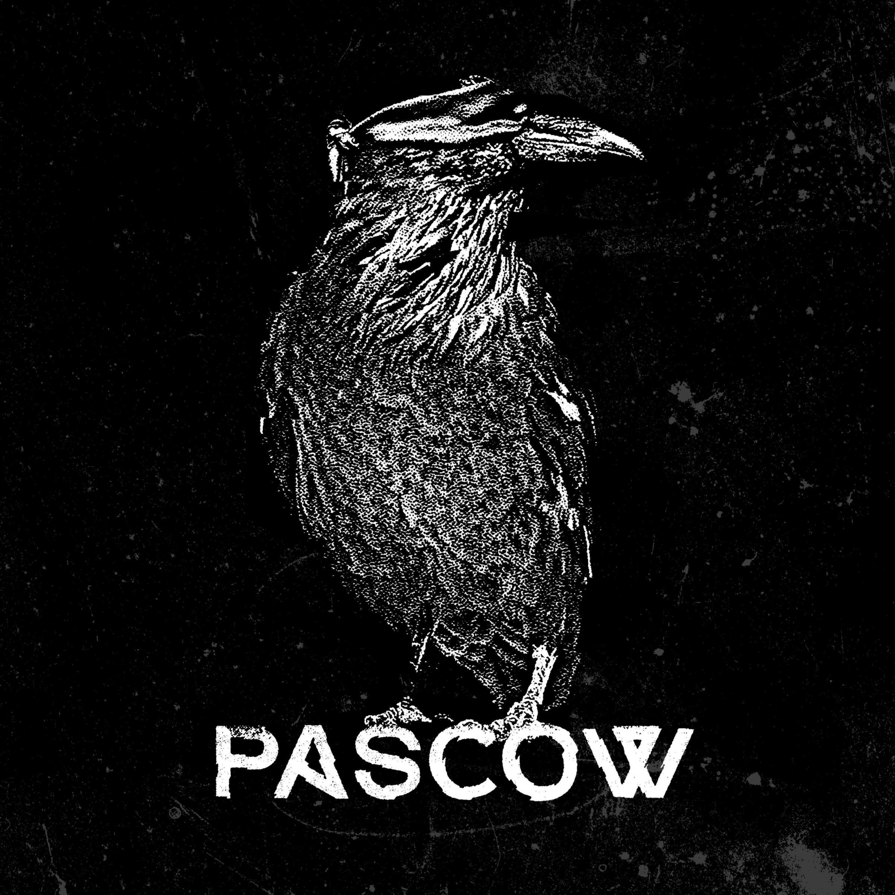 Pascow《Fliegen》乐队总谱|GTP谱