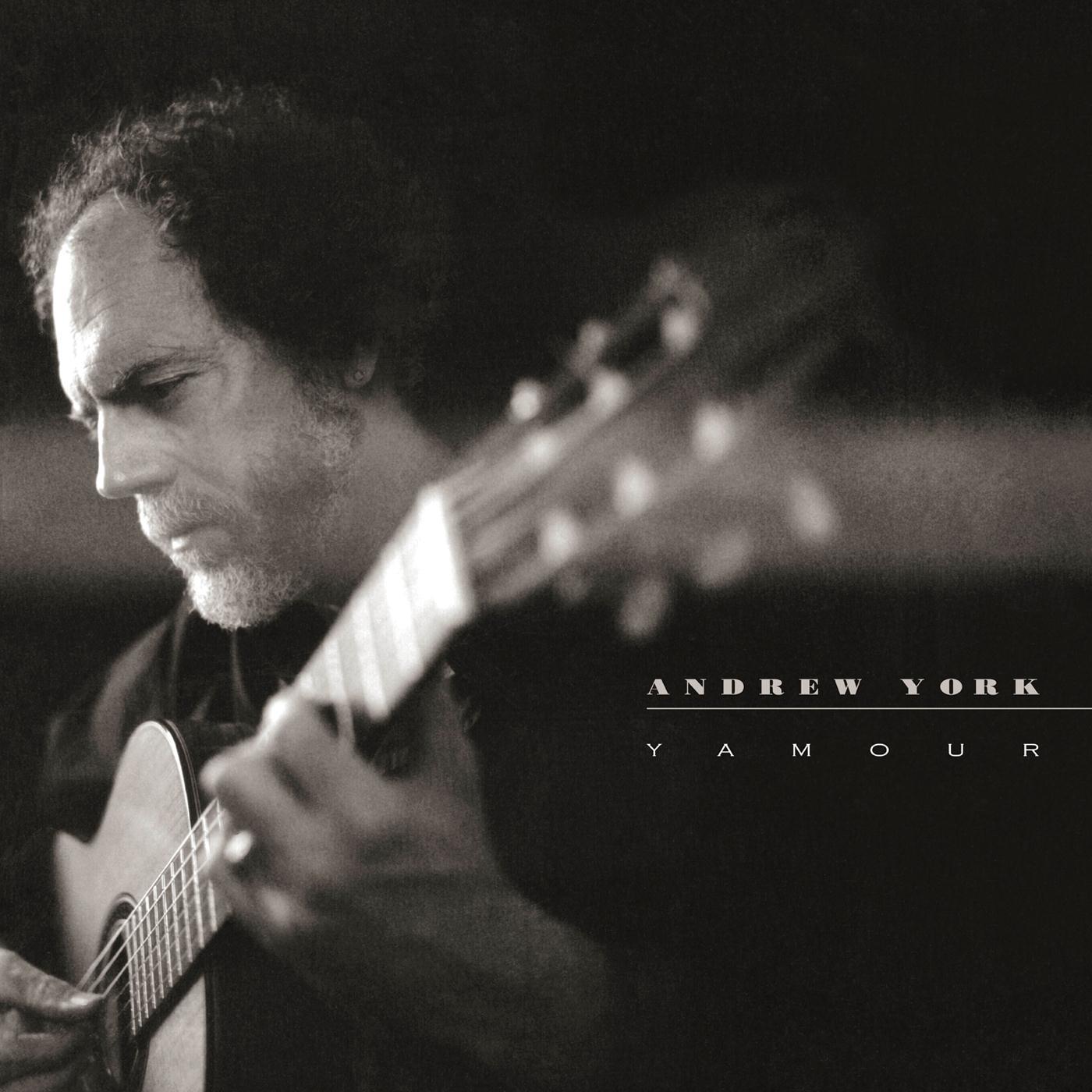 Andrew York《Avenue Of The Giants》GTP谱