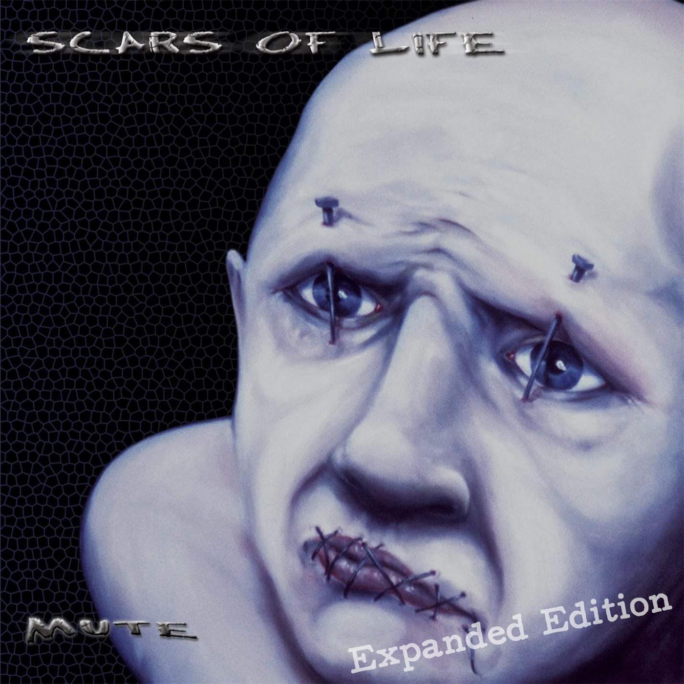 Scars of Life《Broken Bond》GTP谱