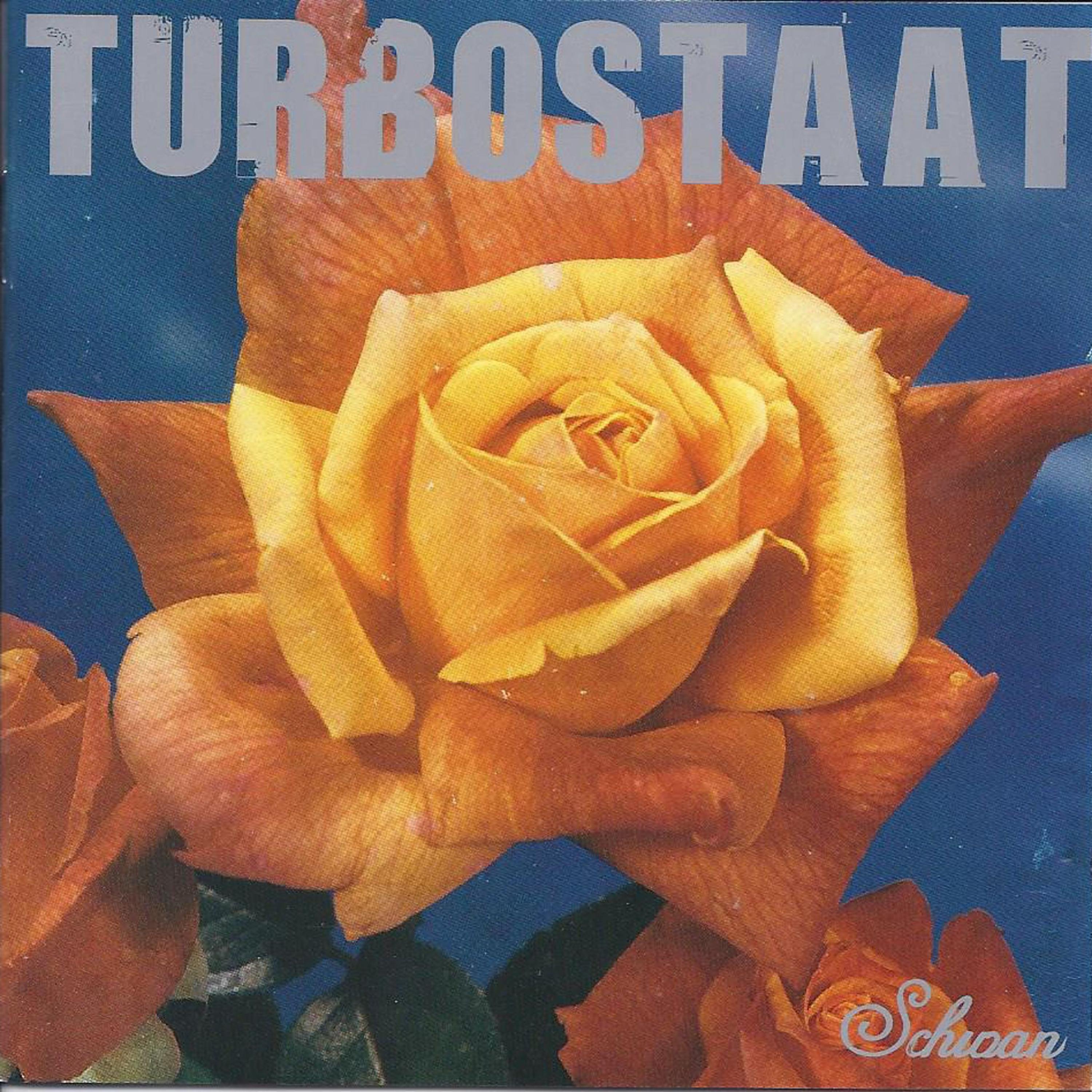 Turbostaat《Meine Stadt Sucht Ihren Mrder》GTP谱