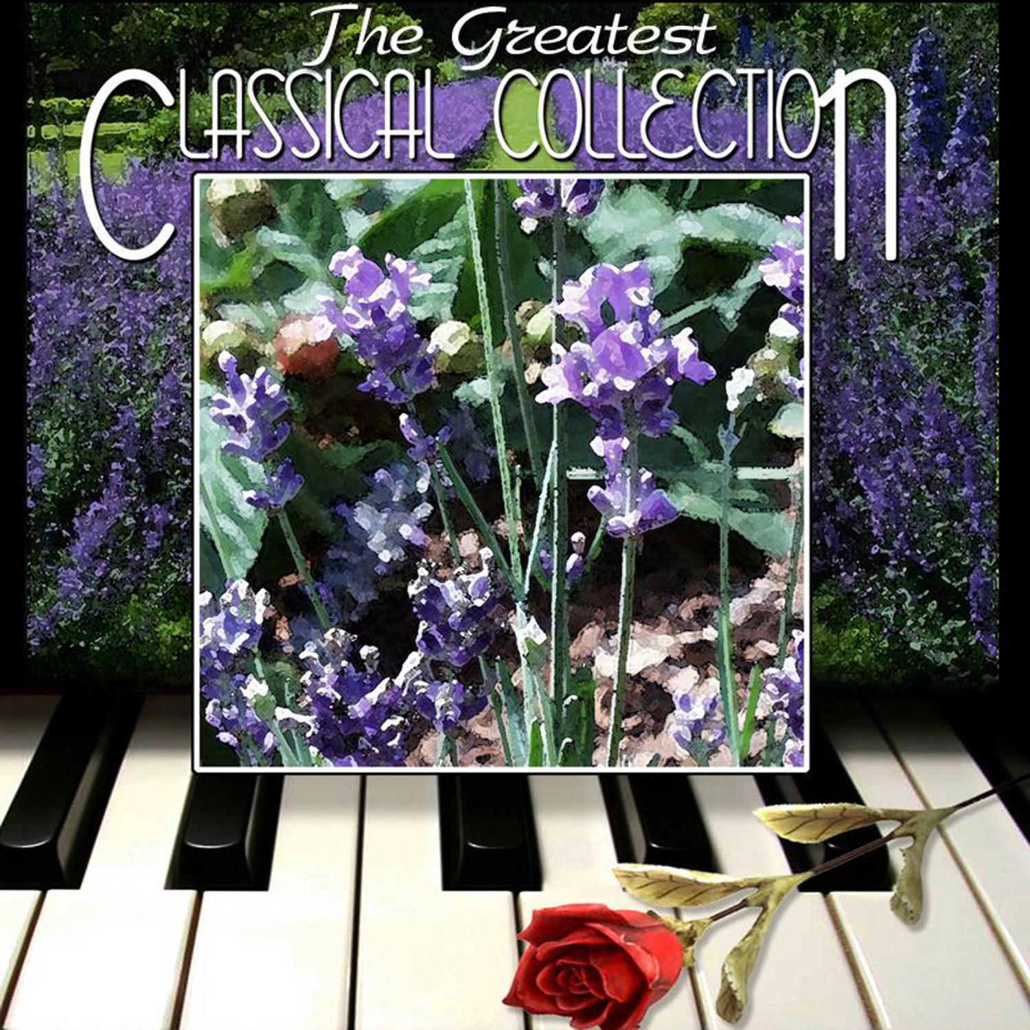 Johann Sebastian Bach《Invention No.13》GTP谱