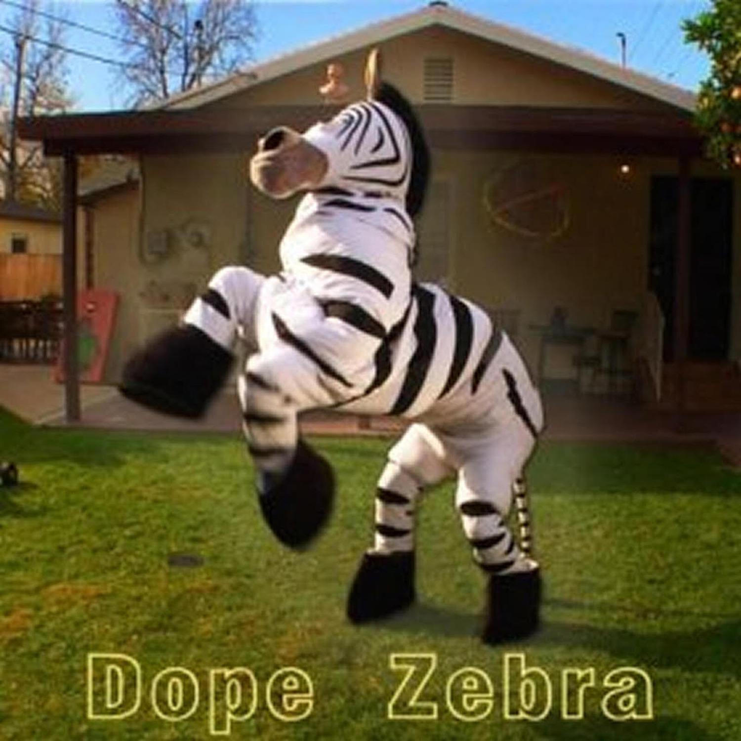 Rhett & Link《Dope Zebra》GTP谱