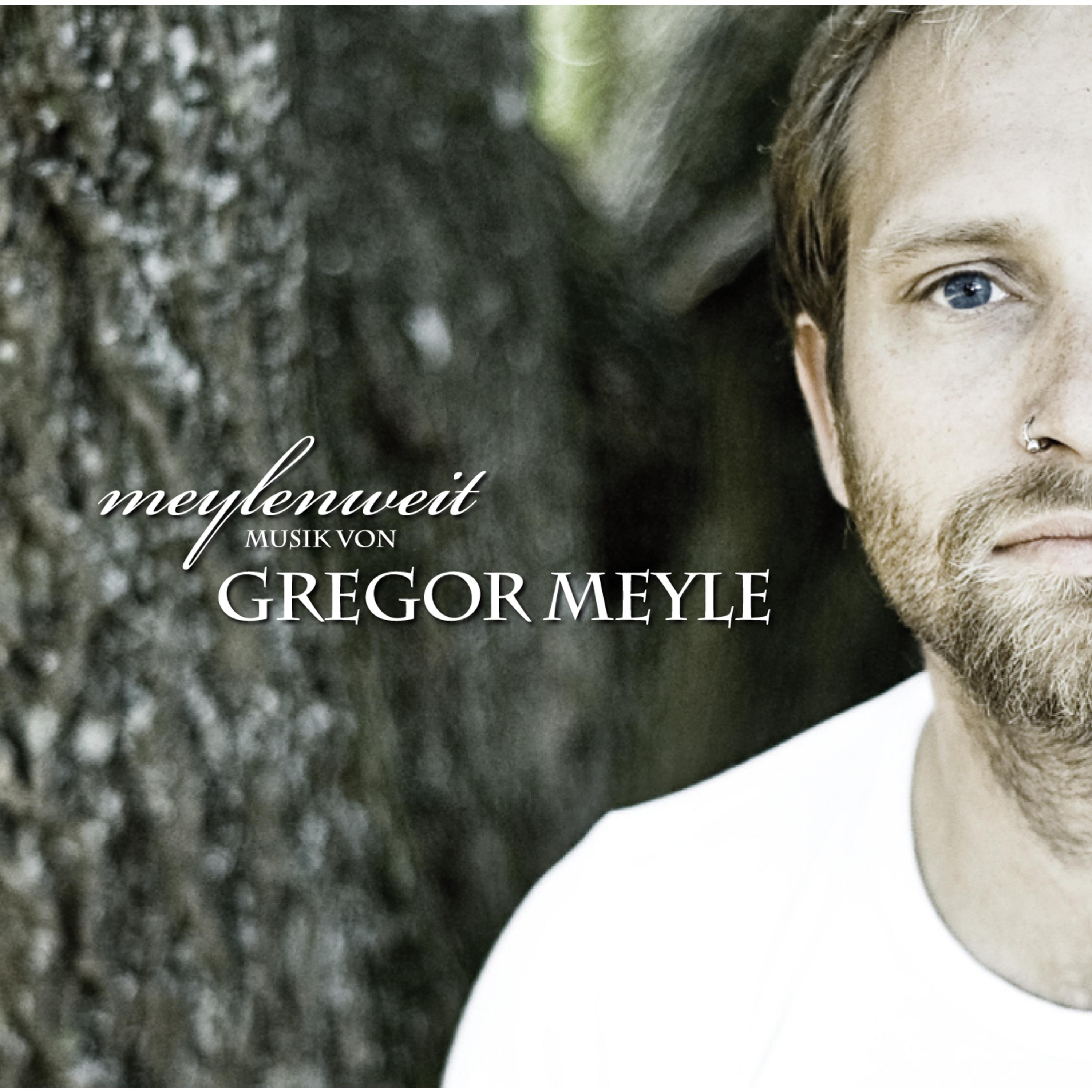 Gregor Meyle《Ja Ja Ja》GTP谱