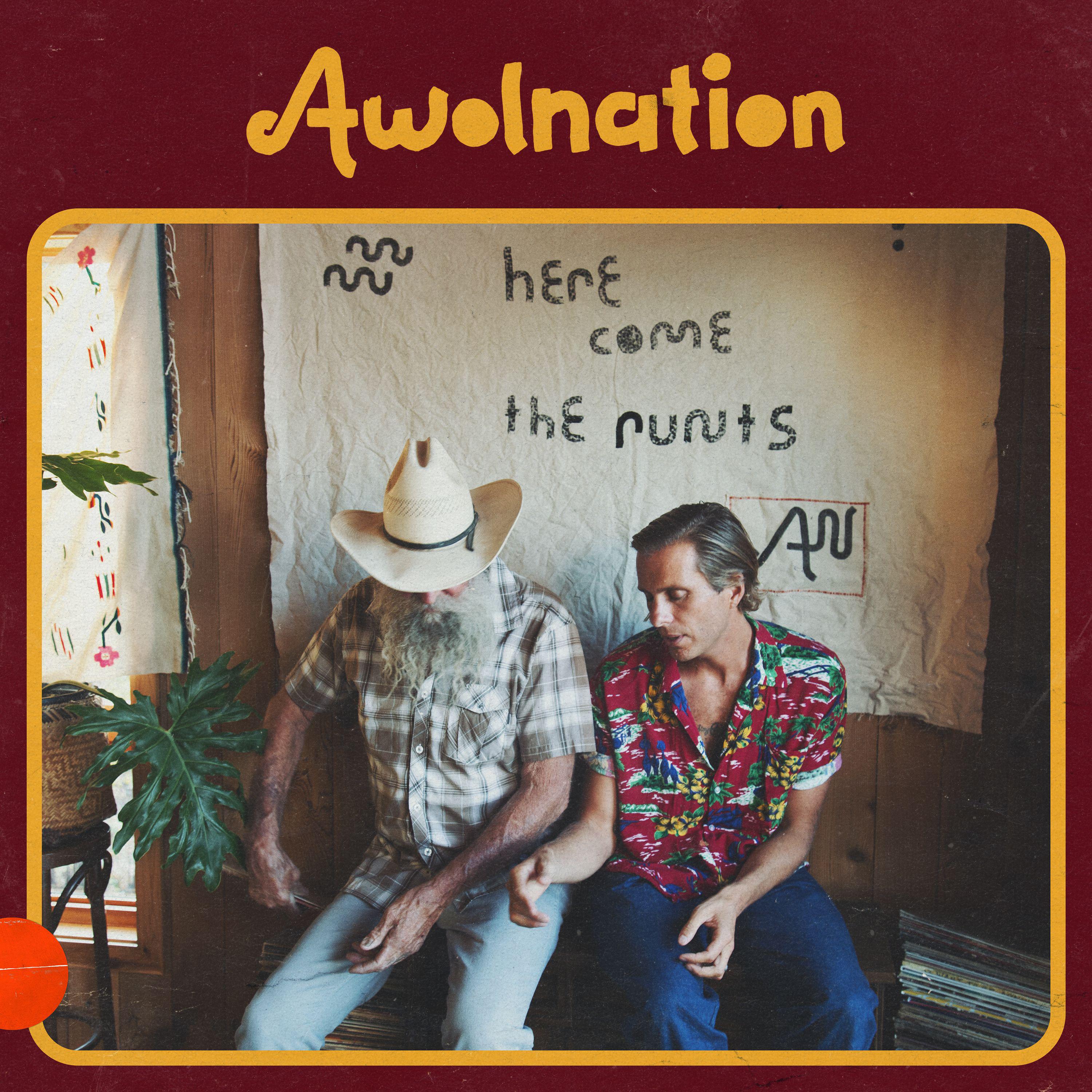AWOLNATION《Jealous Buffoon》GTP谱