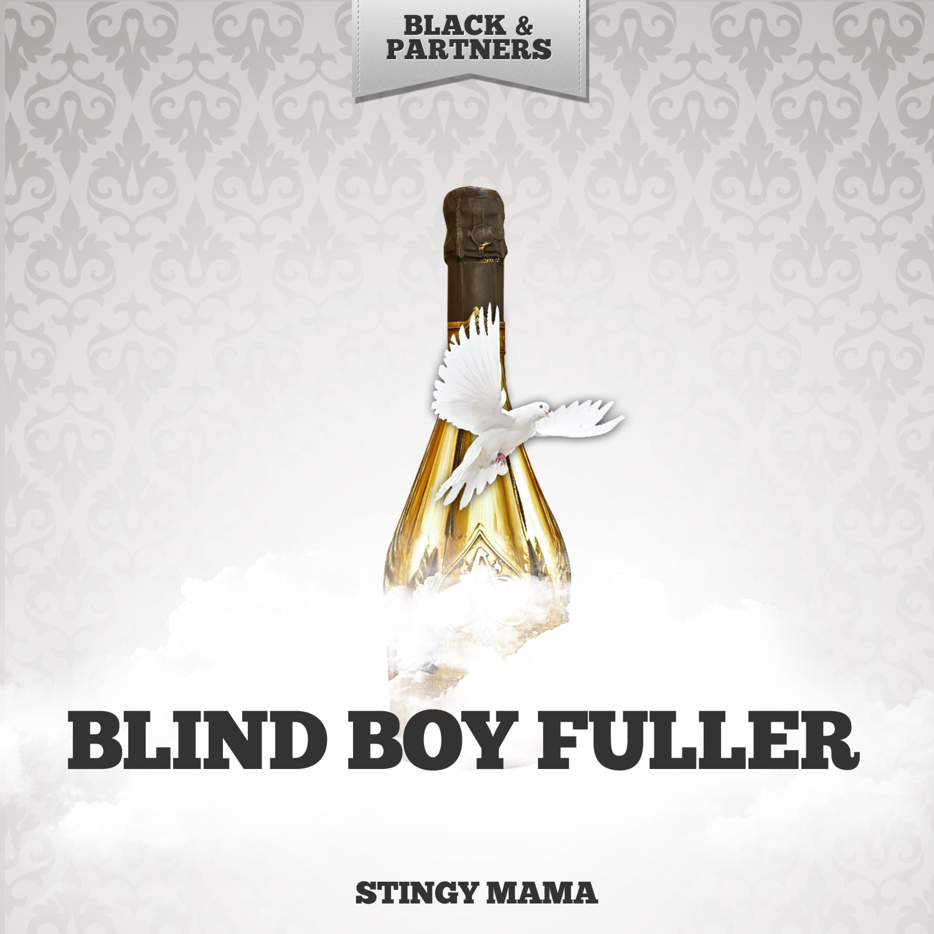 Blind Boy Fuller《Stingy Mama》GTP谱