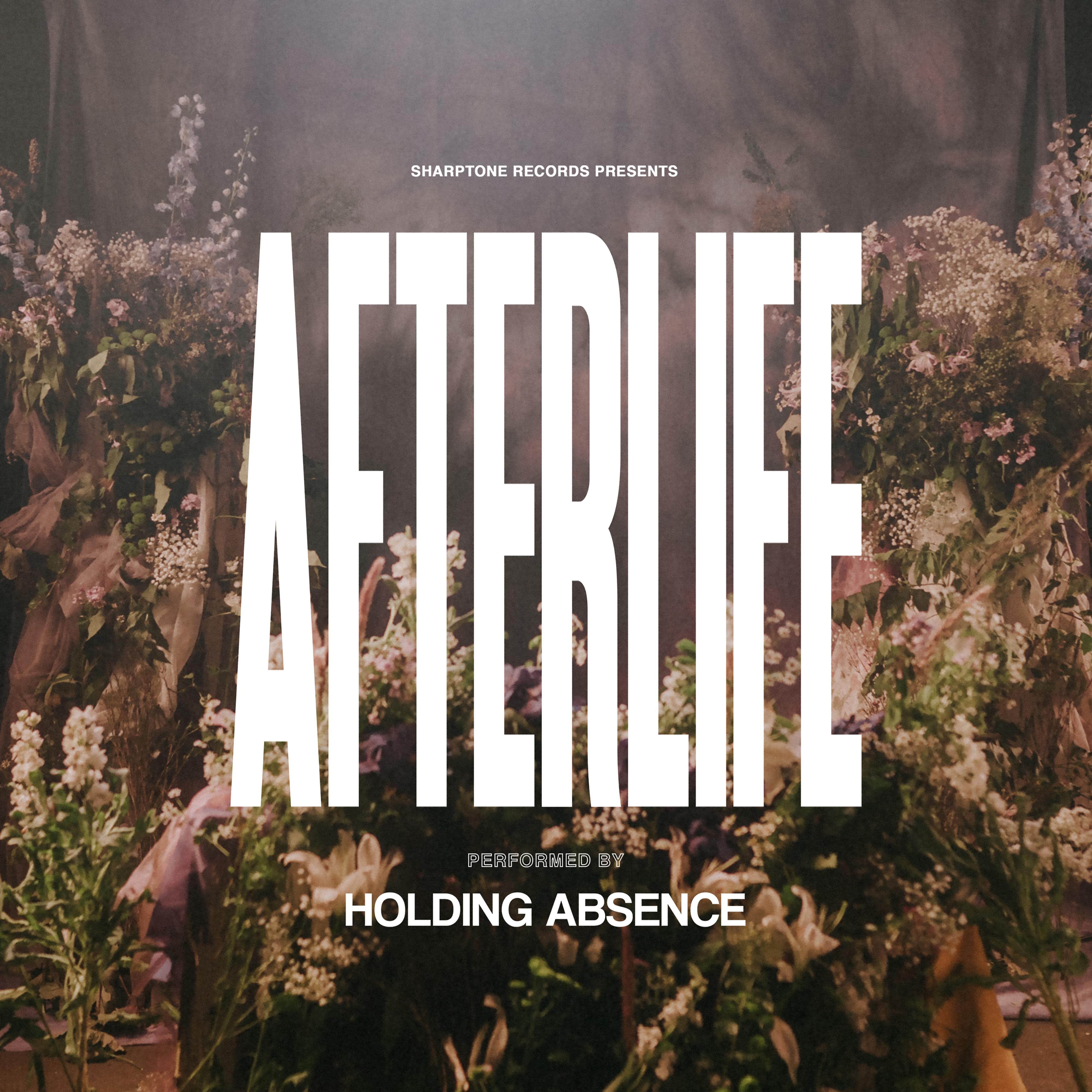 Holding Absence《Afterlife》GTP谱
