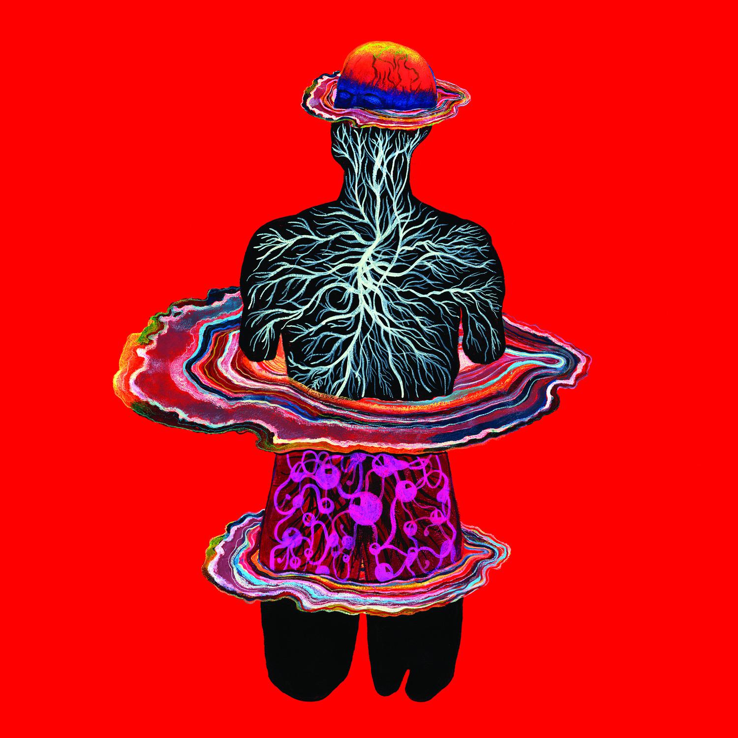 Intervals《5-Htp》GTP谱