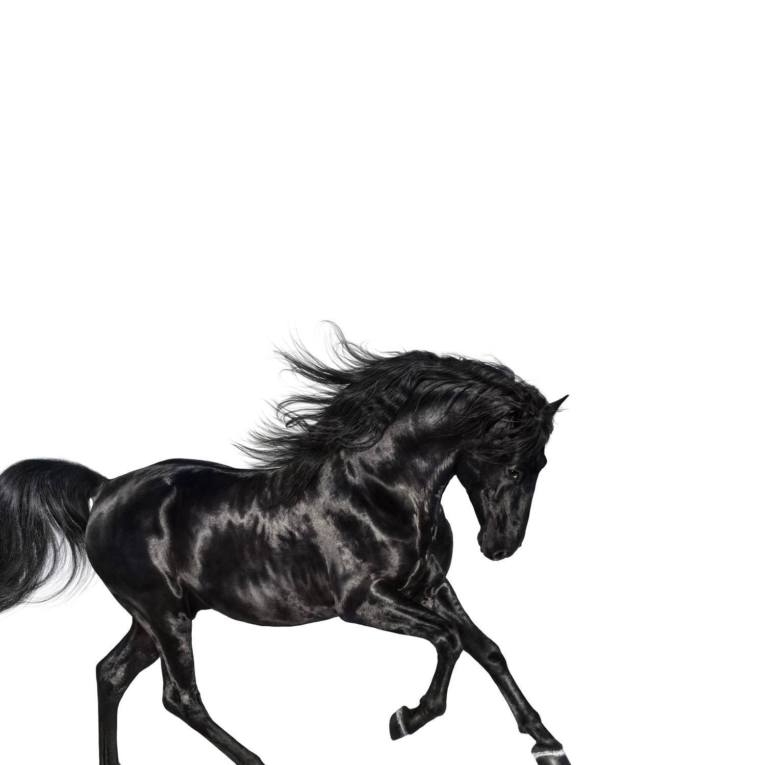 Lil Nas X《Old Town Road》GTP谱