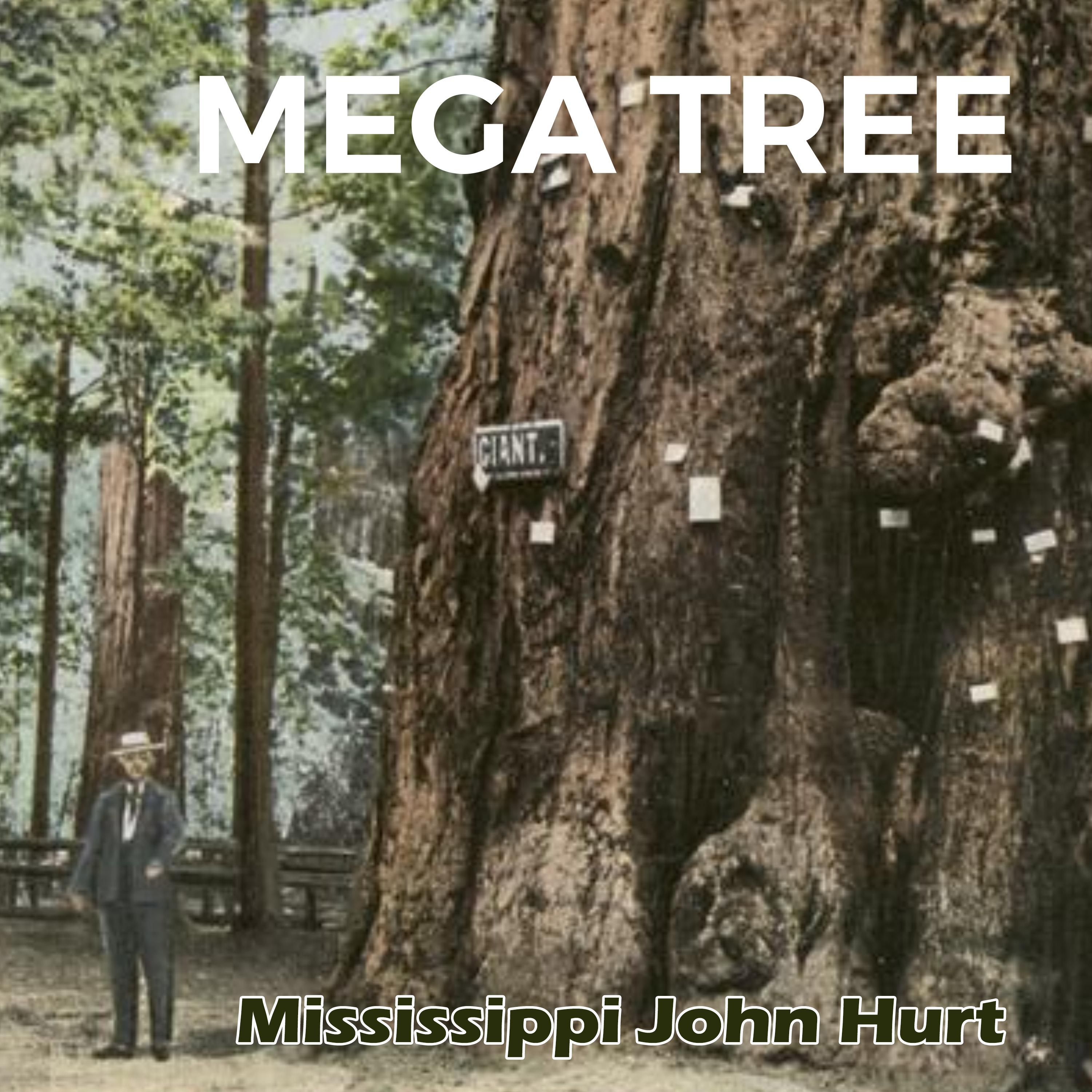 Mississippi John Hurt《Sliding Delta》GTP谱
