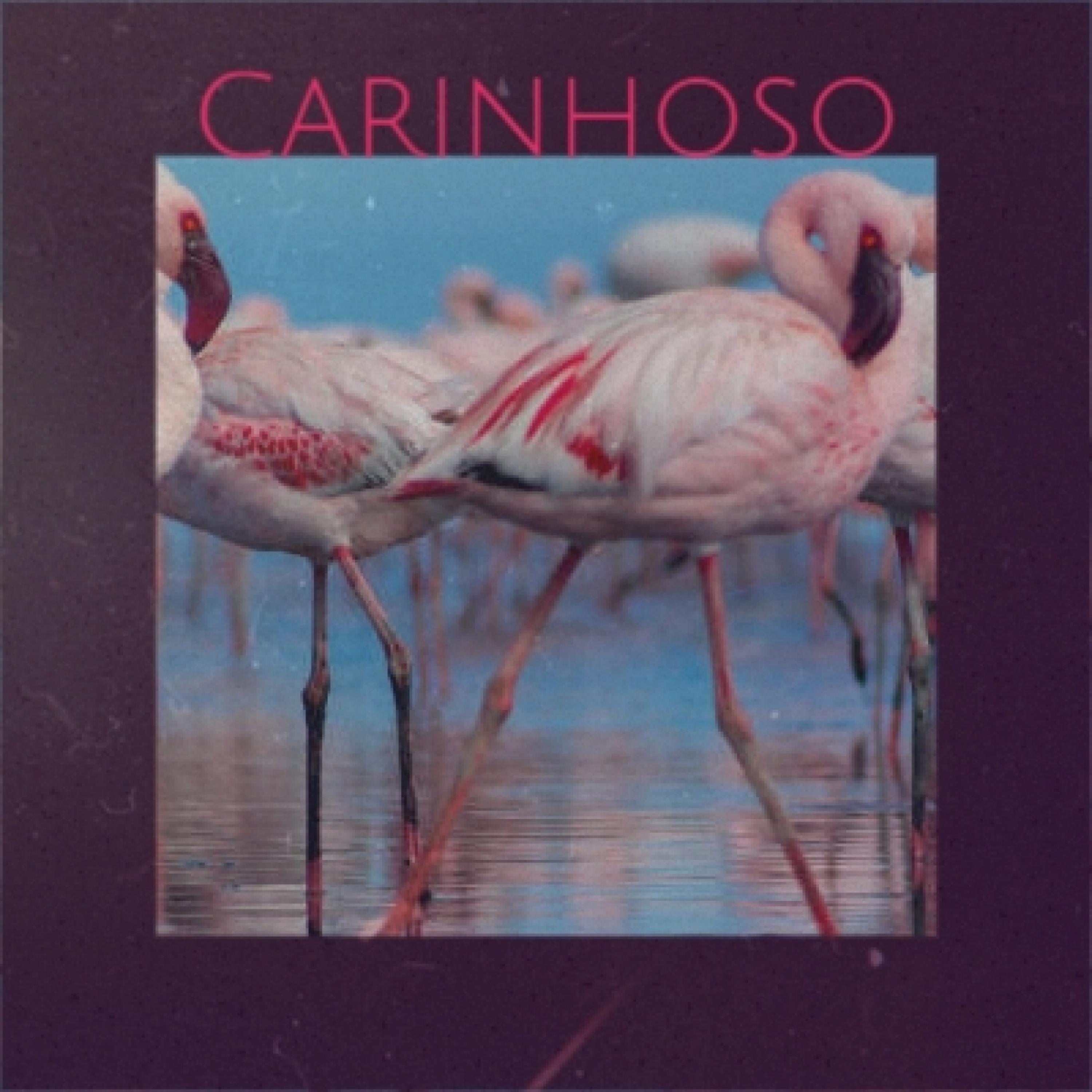 Pixinguinha《Carinhoso》GTP谱