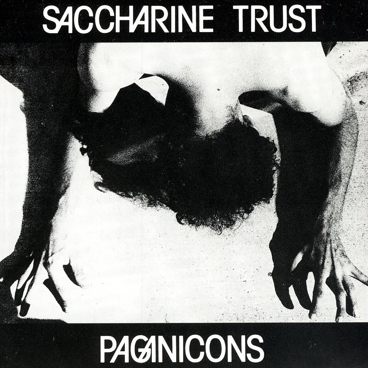Saccharine Trust《We Dont Need Freedom》GTP谱