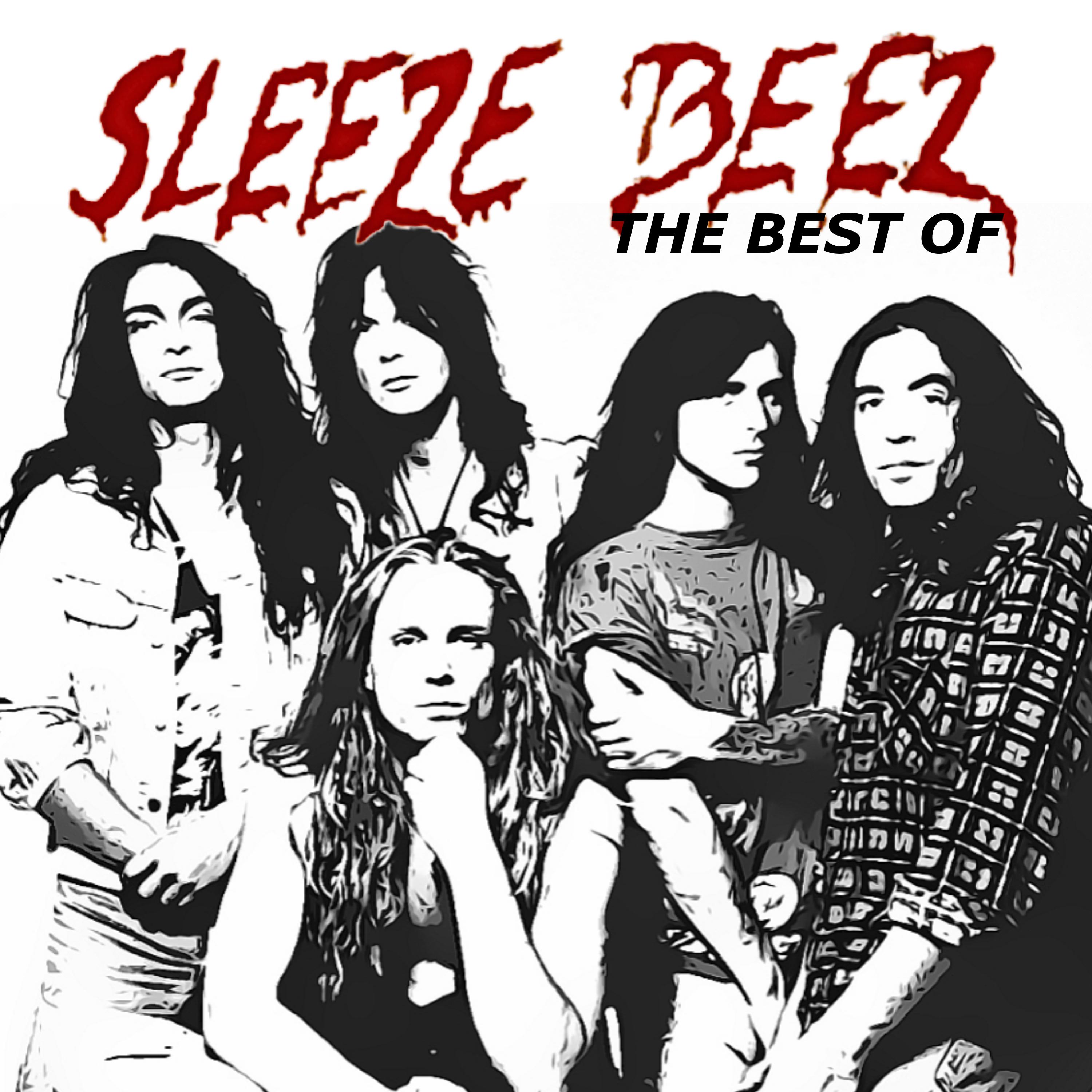 Sleeze Beez《Stranger Than Paradise》GTP谱