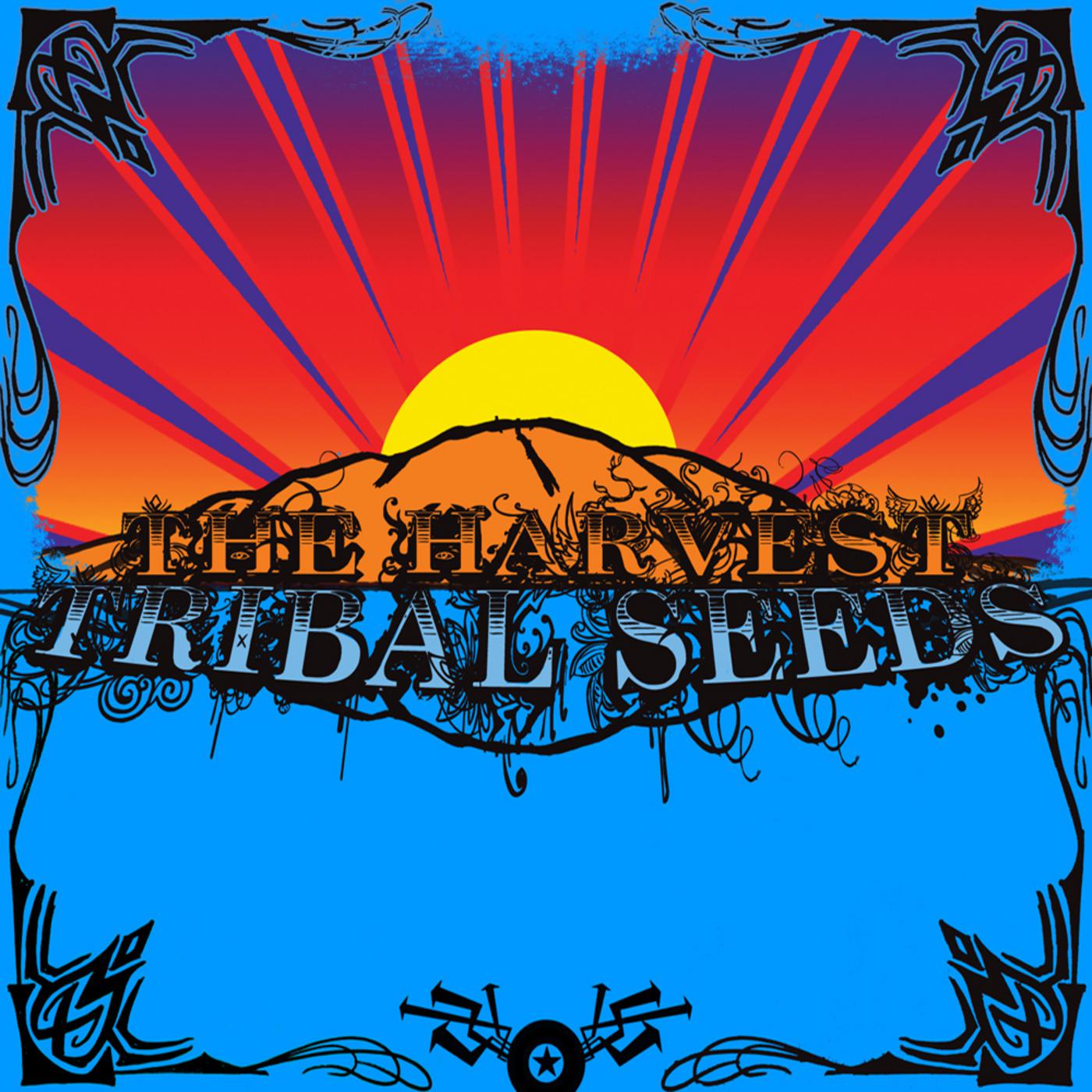 Tribal Seeds《Stillness Of The Night》GTP谱