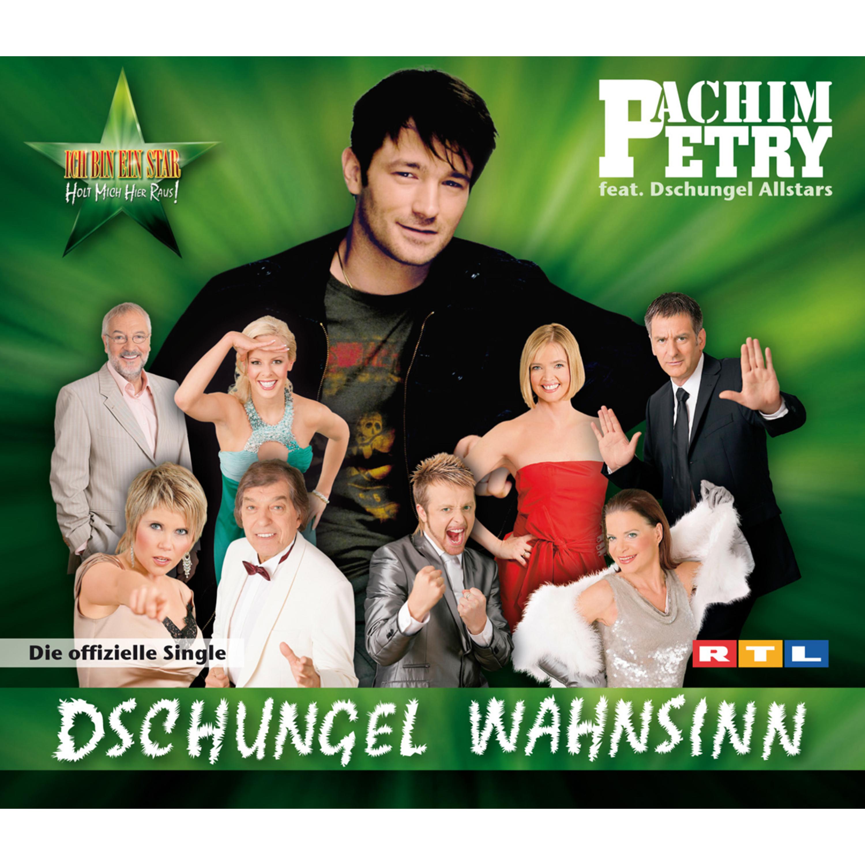 Wolfgang Petry《Wahnsinn》GTP谱