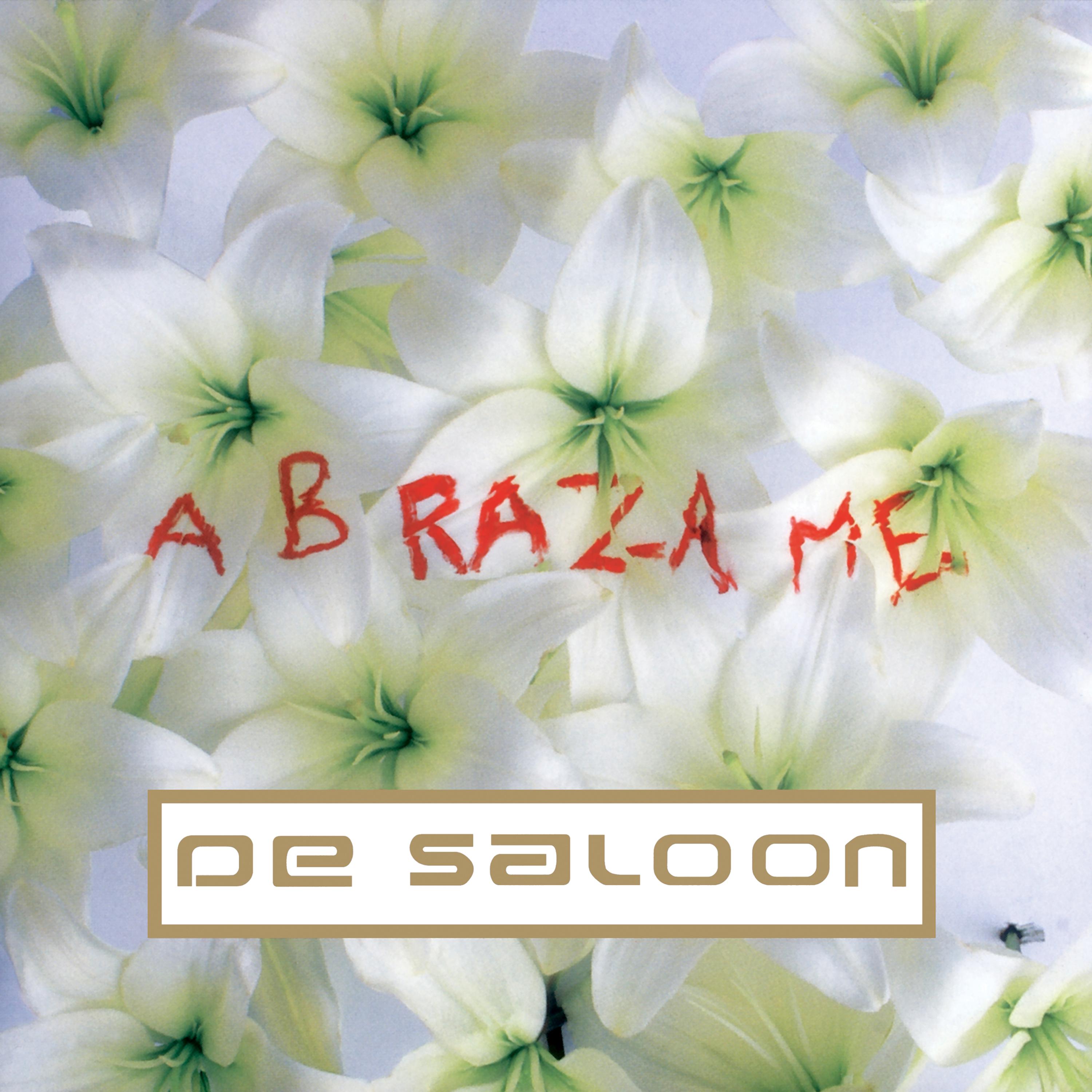 De Saloon《Abrazame》GTP谱