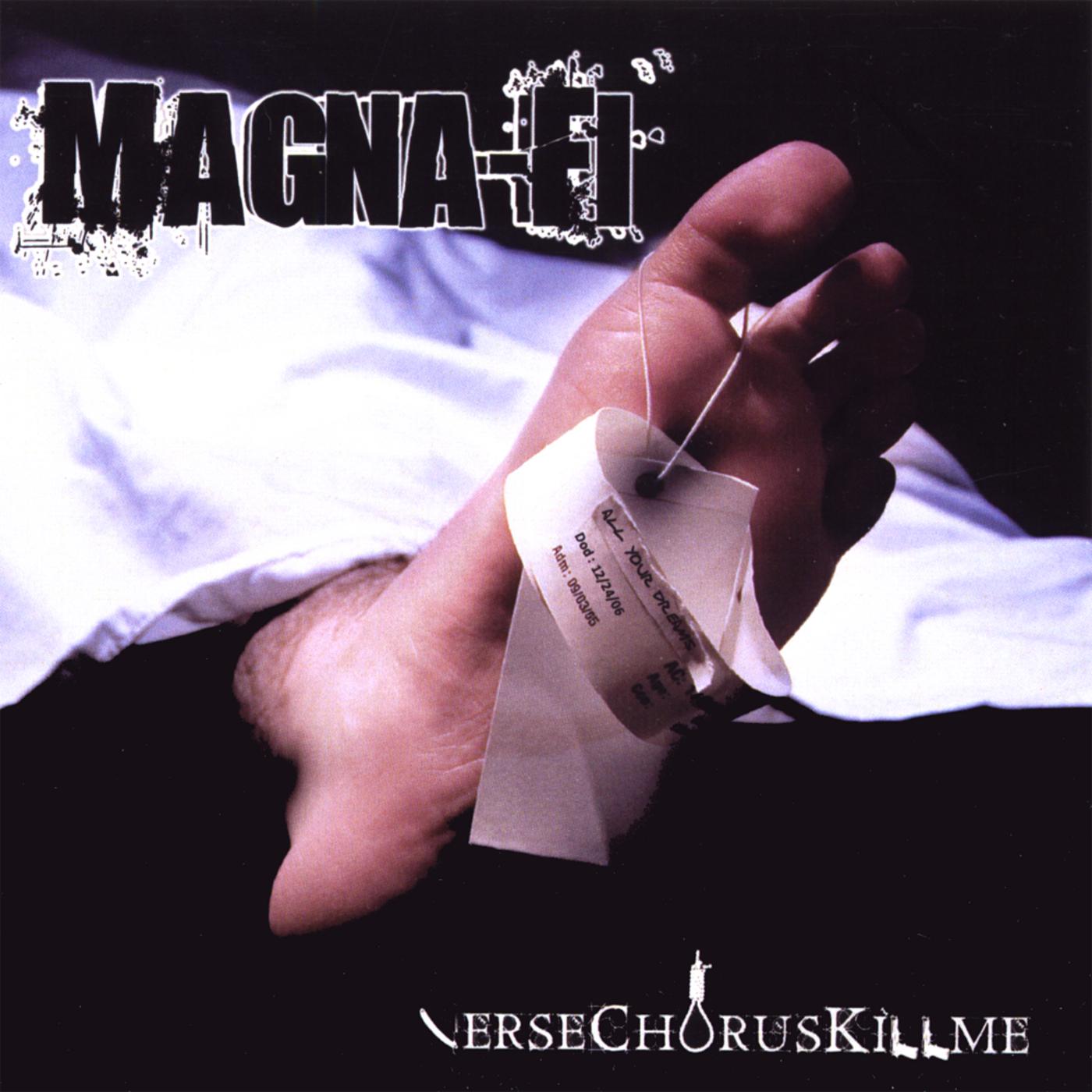 Magna-Fi《Fall From Grace》GTP谱