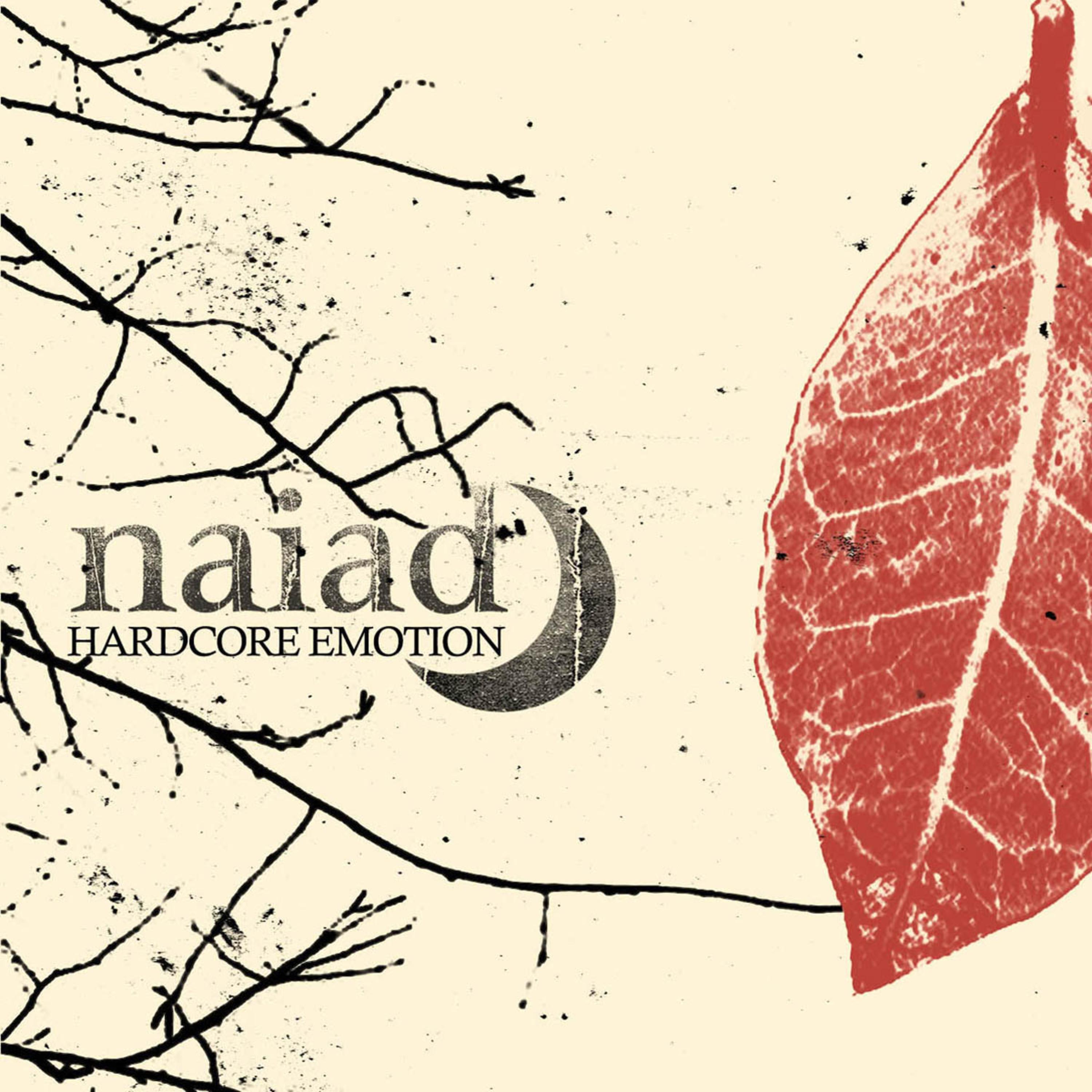 NAIAD《Believing Dreams》GTP谱