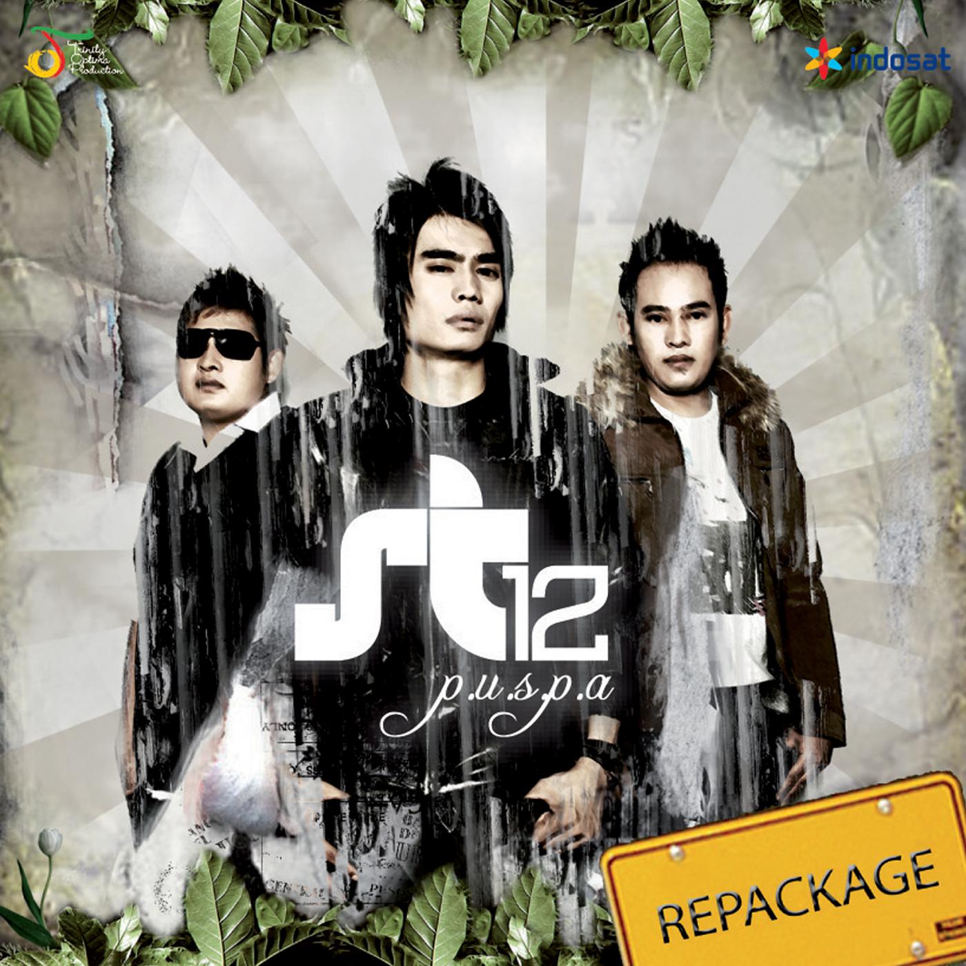 ST12《Biarkan Aku Jatuh Cinta》GTP谱