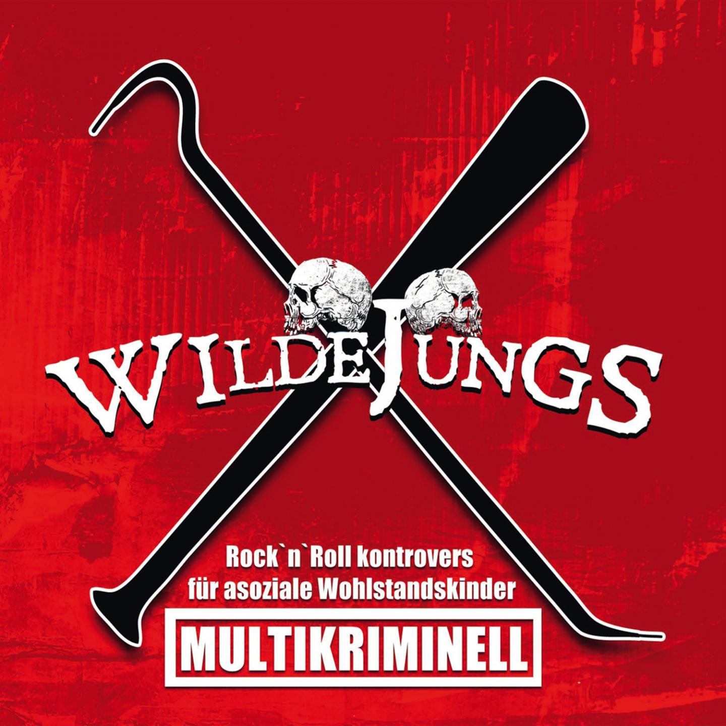 Wilde Jungs《Hass Und Liebe》GTP谱