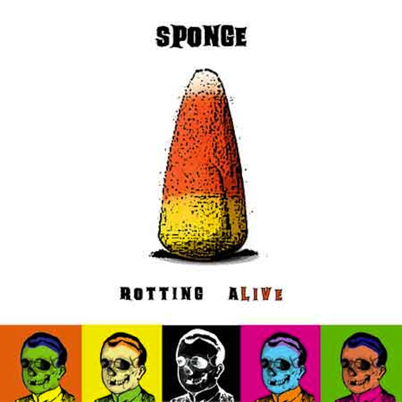 Sponge《Molly》GTP谱