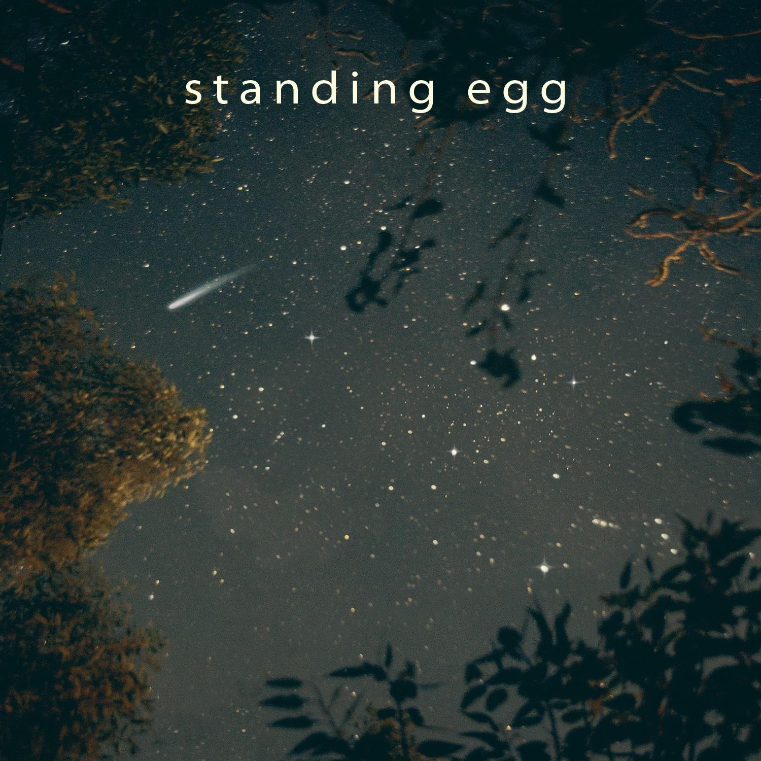 Standing egg《Starry Night》GTP谱