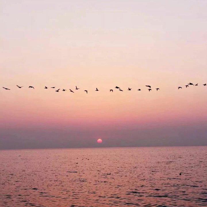 橘子海《夏日漱石》指弹谱 GTP谱