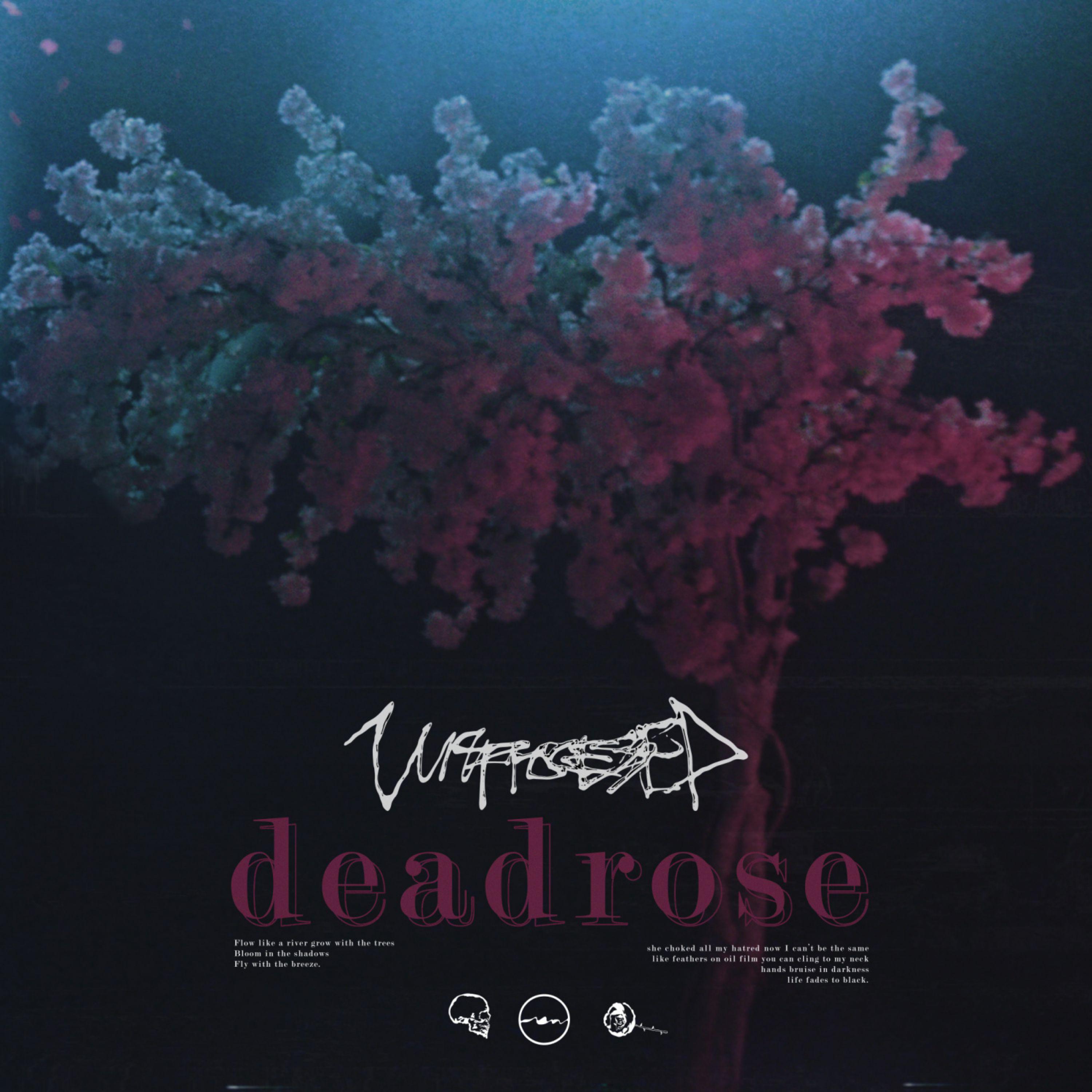 unprocessed《Deadrose》乐队总谱 GTP谱