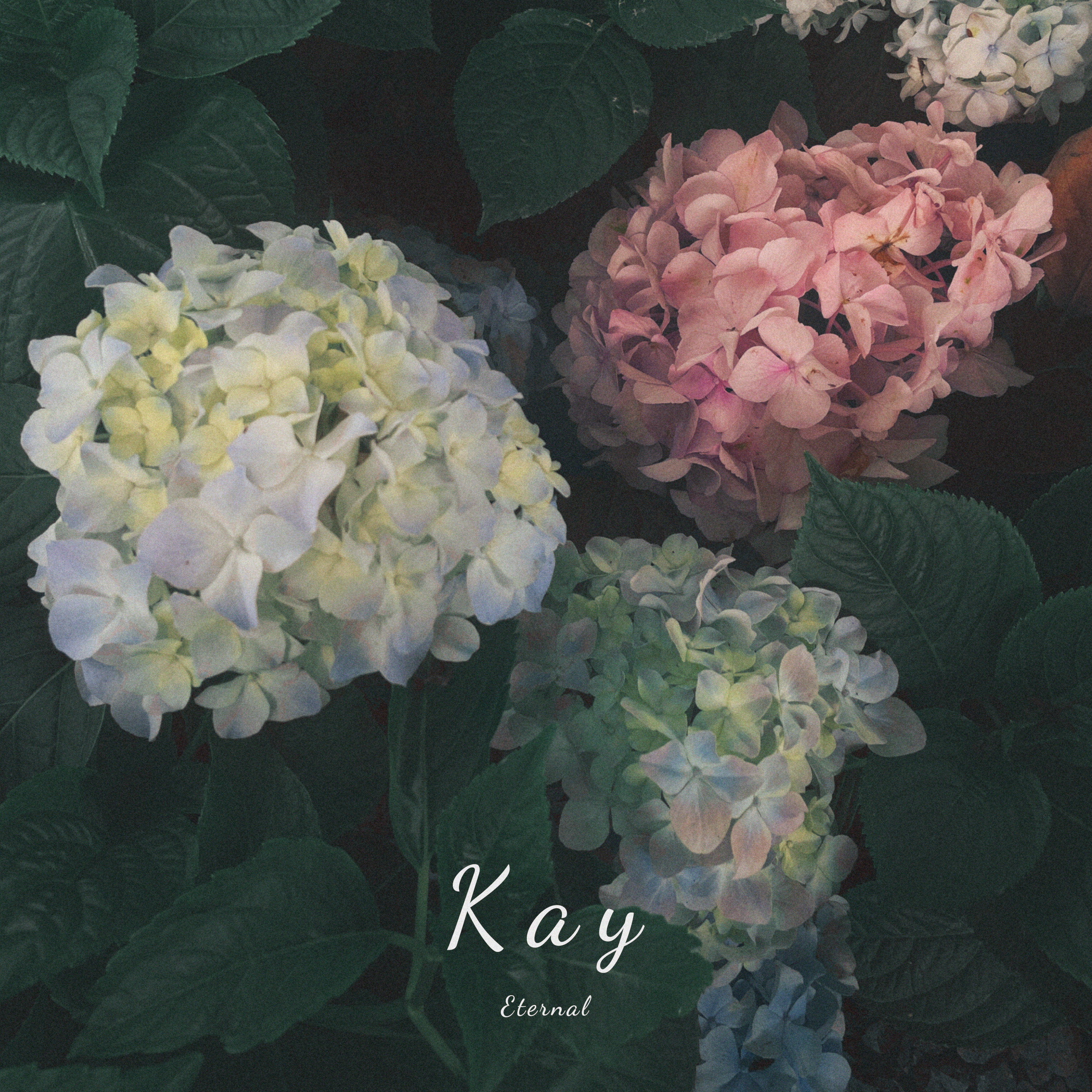 Kay《Eternal》前奏电吉他谱